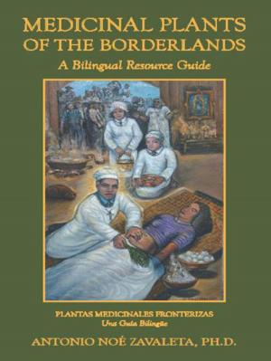 Cover of the book Medicinal Plants of the Borderlands by Leah Alvord