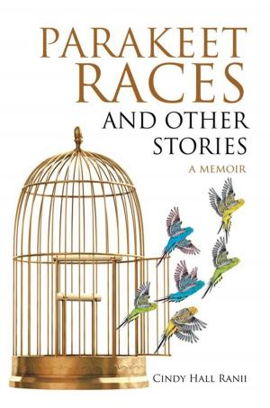 Cover of the book Parakeet Races and Other Stories by John Osborn