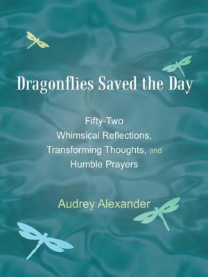 Cover of the book Dragonflies Saved the Day by Pastor Donald M. King Sr.