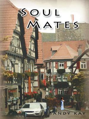 Cover of the book Soul Mates by Camilla Ruiz