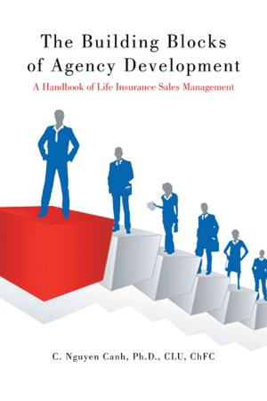 Cover of the book The Building Blocks of Agency Development by S.N. Bronstein