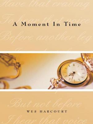 Cover of the book A Moment in Time by A.J. Prince