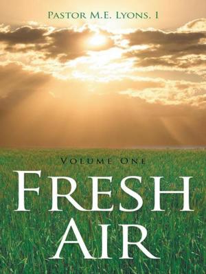 Cover of the book Fresh Air by Dave O'Riordan