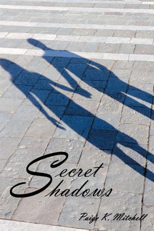 Cover of the book Secret Shadows by Cash Onadele