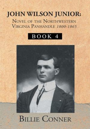 Cover of the book John Wilson Junior:Novel of the Northwestern Virginia Panhandle by Steven B. Stern