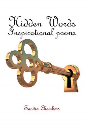 Cover of the book Hidden Words by David R. Donald