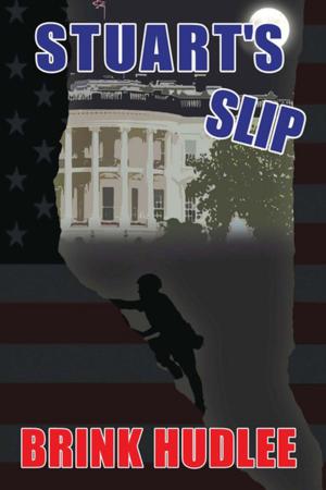 Cover of the book Stuart's Slip by Susan Helton