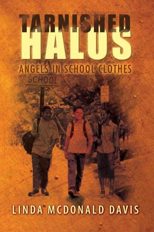 Cover of the book Tarnished Halos by Rajesh Ranga Rao