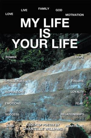 Cover of the book My Life Is Your Life by Dumas