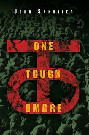 Cover of the book One Tough Ombre by Indilyne (Lynn) Pinto