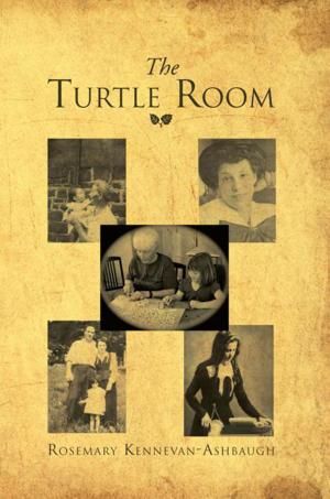 Cover of the book The Turtle Room by Stephanie Plain Potter