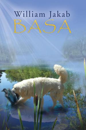 Cover of the book Basa by Amitava Bhattacharya