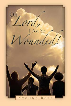 Cover of the book Oh Lord, I Am so Wounded! by David J. Greenbaum