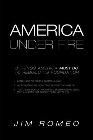 Book cover of America Under Fire