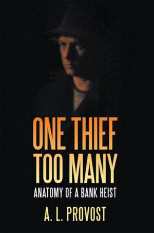 Cover of the book One Thief Too Many by Melissa Bianco
