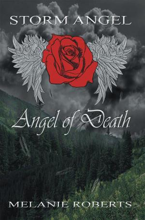 Cover of the book Storm Angel by Christopher Williams
