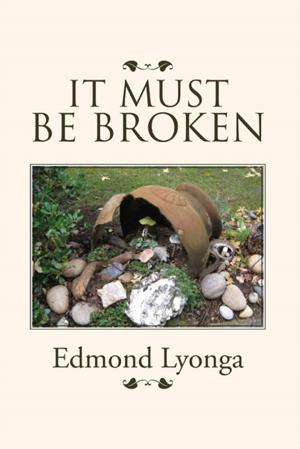 Cover of the book It Must Be Broken by Teresa Ruiz