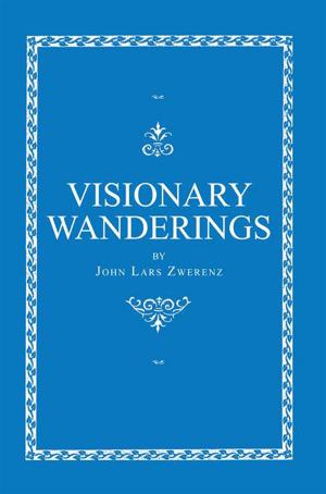 Cover of the book Visionary Wanderings by Alida van den Bos