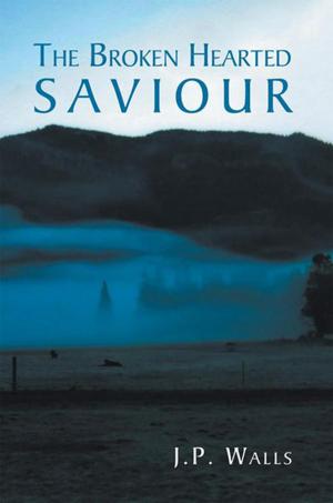 Cover of the book The Broken Hearted Saviour by John Lefler