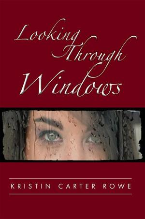 Cover of the book Looking Through Windows by Elizabeth Olancin
