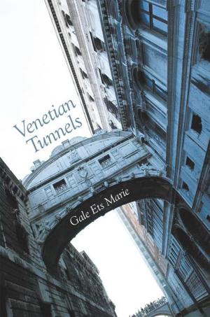 Cover of the book Venetian Tunnels by Betsey Barnes