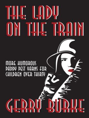 Cover of the book The Lady on the Train by Larry Joseph Sr.
