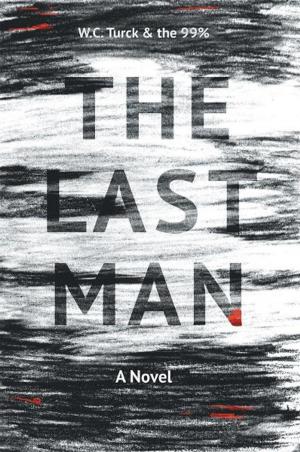 Cover of the book The Last Man by Nan Pipes