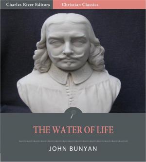 Cover of the book The Water of Life (Illustrated Edition) by Nathaniel Hawthorne