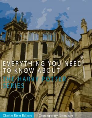 bigCover of the book Everything You Need to Know About the Harry Potter Series by 
