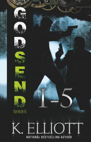 bigCover of the book Godsend Series 1: 5 by 