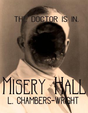 Cover of the book Misery Hall by Jerry Metal