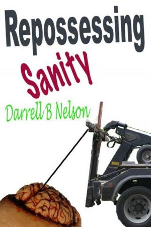 Cover of the book Repossessing Sanity by Bokerah Brumley