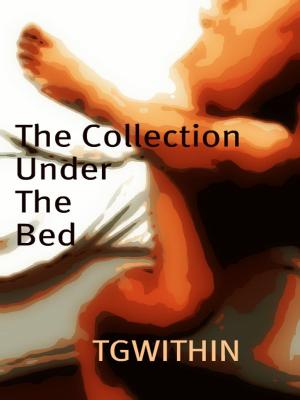 Book cover of The Collection Under the Bed