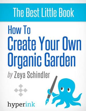 Cover of the book How To Create Your Own Organic Garden by Noelle Duncan