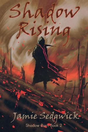 Book cover of Shadow Rising