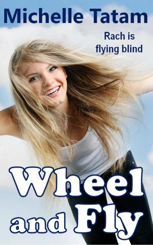 Cover of the book Wheel and Fly by L. V. MacLean