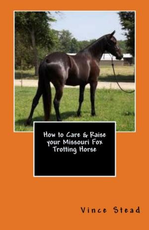 Cover of the book How to Care & Raise your Missouri Fox Trotting Horse by Tiffani Mae