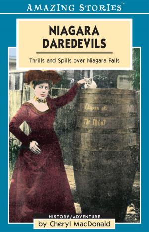 Cover of the book Niagara Daredevils by Alvin Finkel, Clement Leibovitz