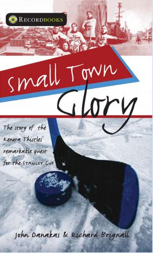 Cover of the book Small Town Glory by Richard Brignall