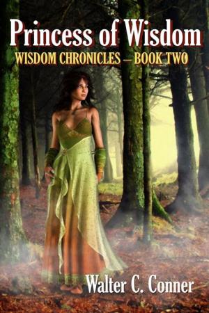 Cover of the book Princess Of Wisdom by Britt DeLaney