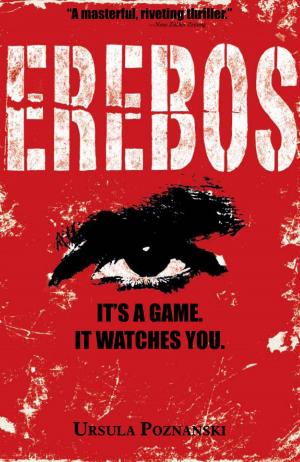 Cover of the book Erebos by David Jones