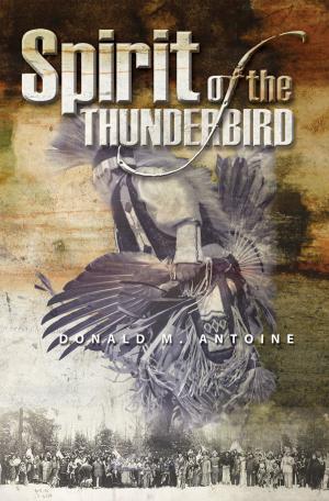 Cover of the book The Spirit of the Thunderbird by JoyLynn Charity Wong