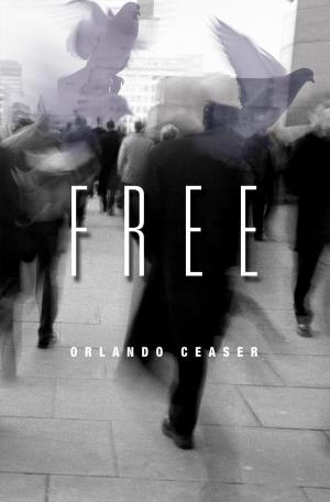 Cover of the book Free by Audrey Pryor-Mouizi