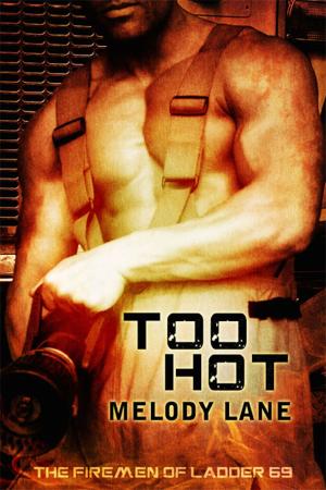 Cover of the book Too Hot by Catherine Lievens