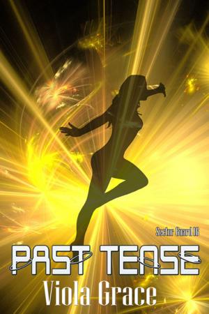 Cover of the book Past Tense by Astrid Cooper