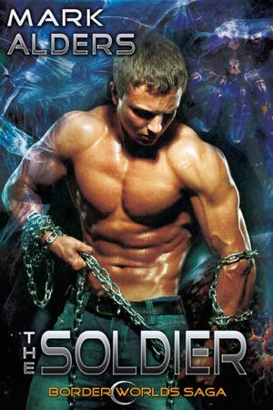 Cover of the book The Soldier by Ellen Cross