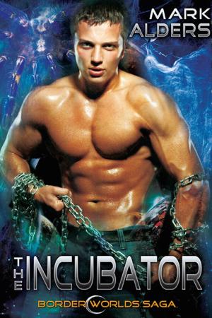 Cover of the book The Incubator by Annette Shelley