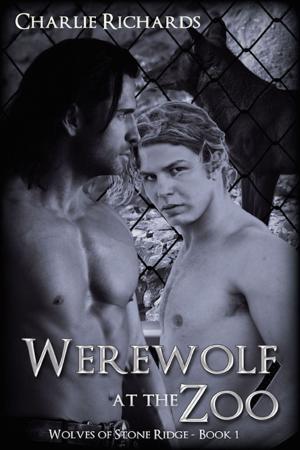 Cover of the book Werewolf at the Zoo by A.J. Llewellyn