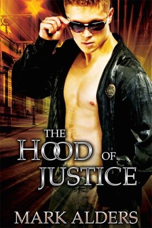 bigCover of the book The Hood of Justice by 