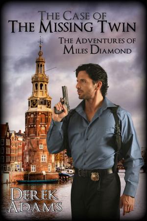 Cover of the book The Case of the Missing Twin by Liza Kay